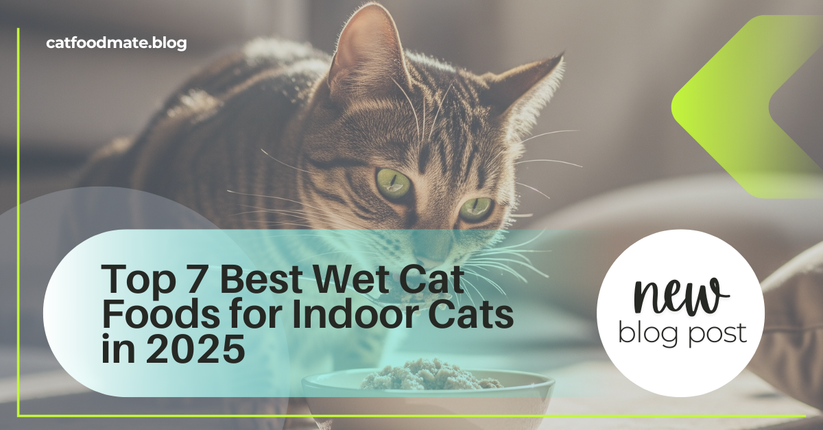 Top 7 Best Wet Cat Food for Indoor Cats in 2025 (Vet-Approved Picks)
